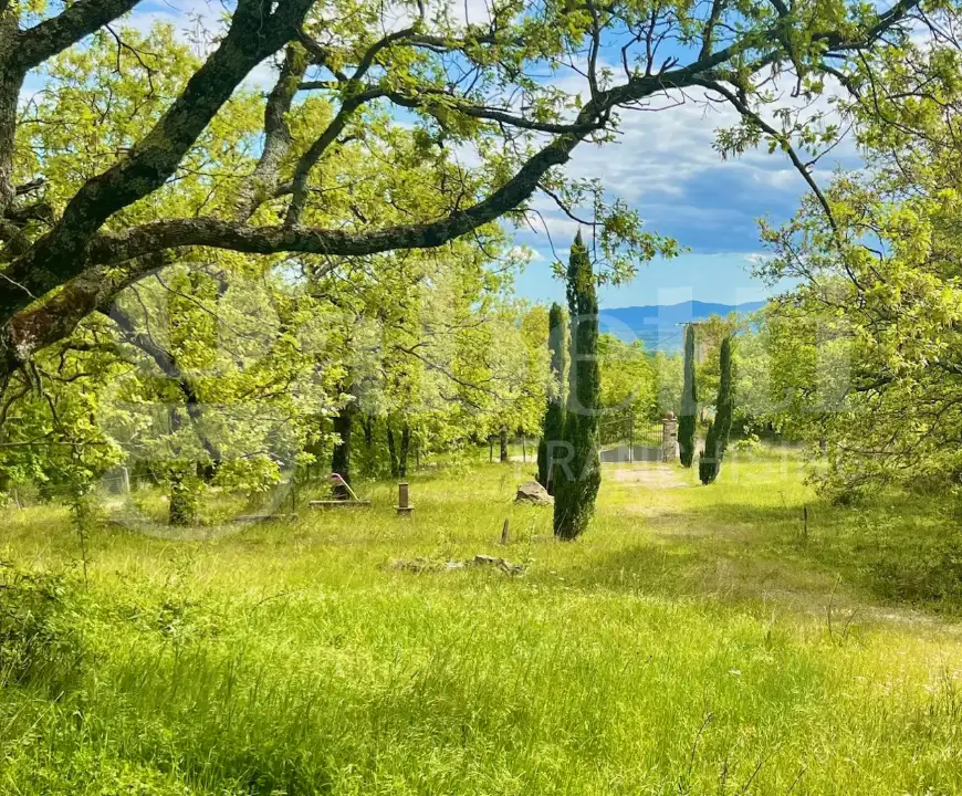 Casa Indipendente - Image 13