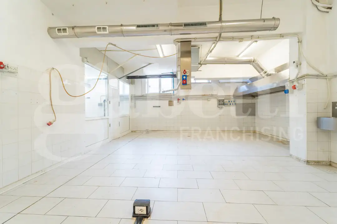 Laboratorio - Image 7