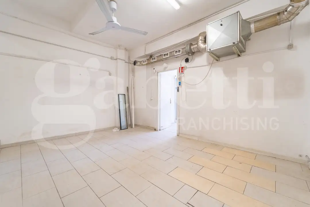 Laboratorio - Image 4