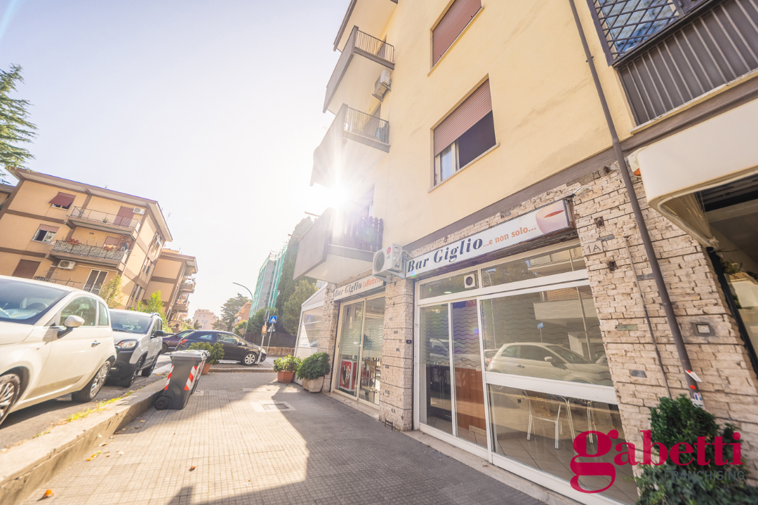 Attività - Image 10