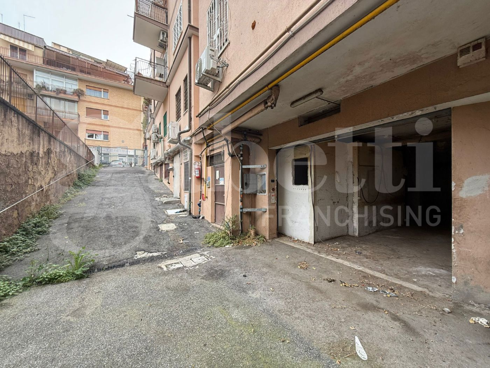 Laboratorio - Image 5