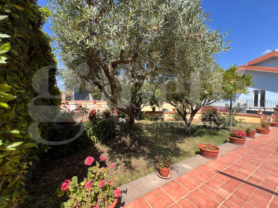 Villa - Image 11