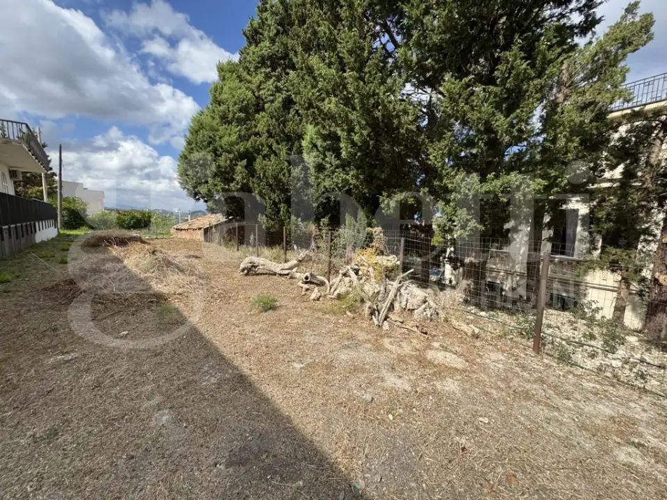 Casa Indipendente - Image 4