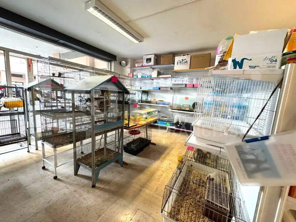 Negozio - Image 6