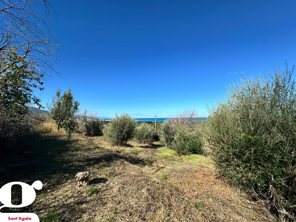 Casa Indipendente - Image 13