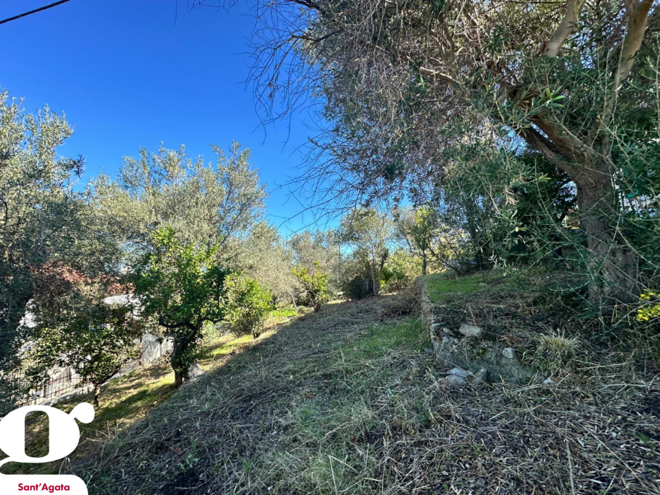 Casa Indipendente - Image 20