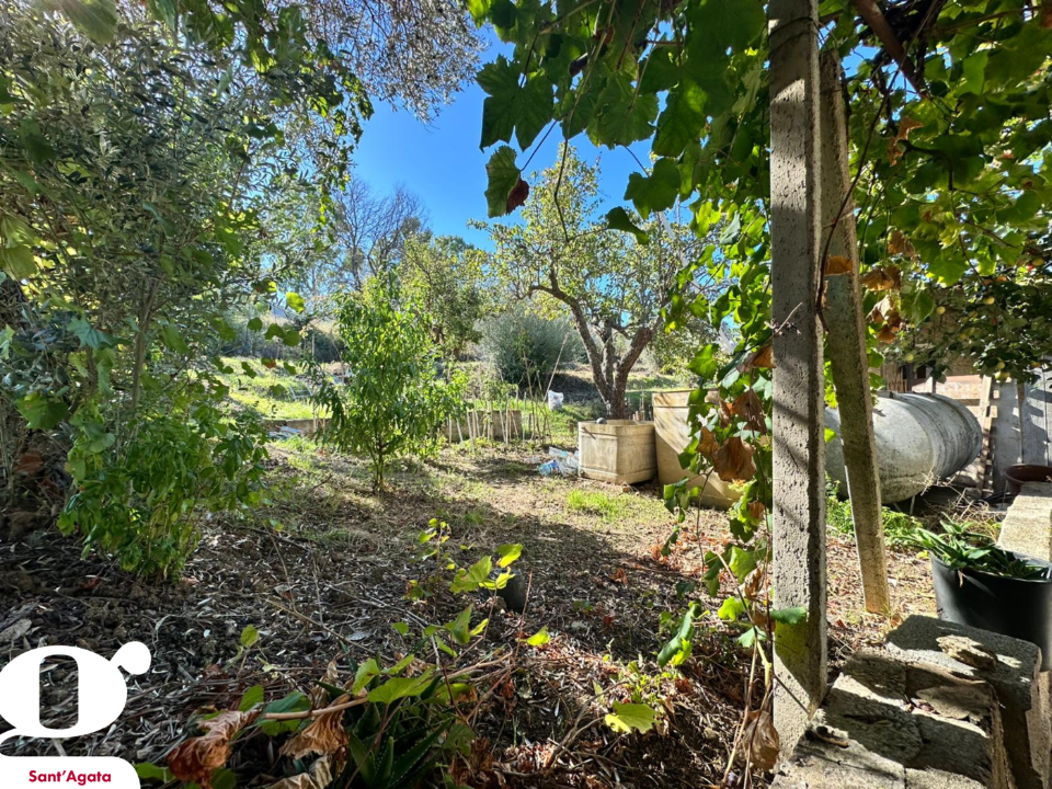 Casa Indipendente - Image 14