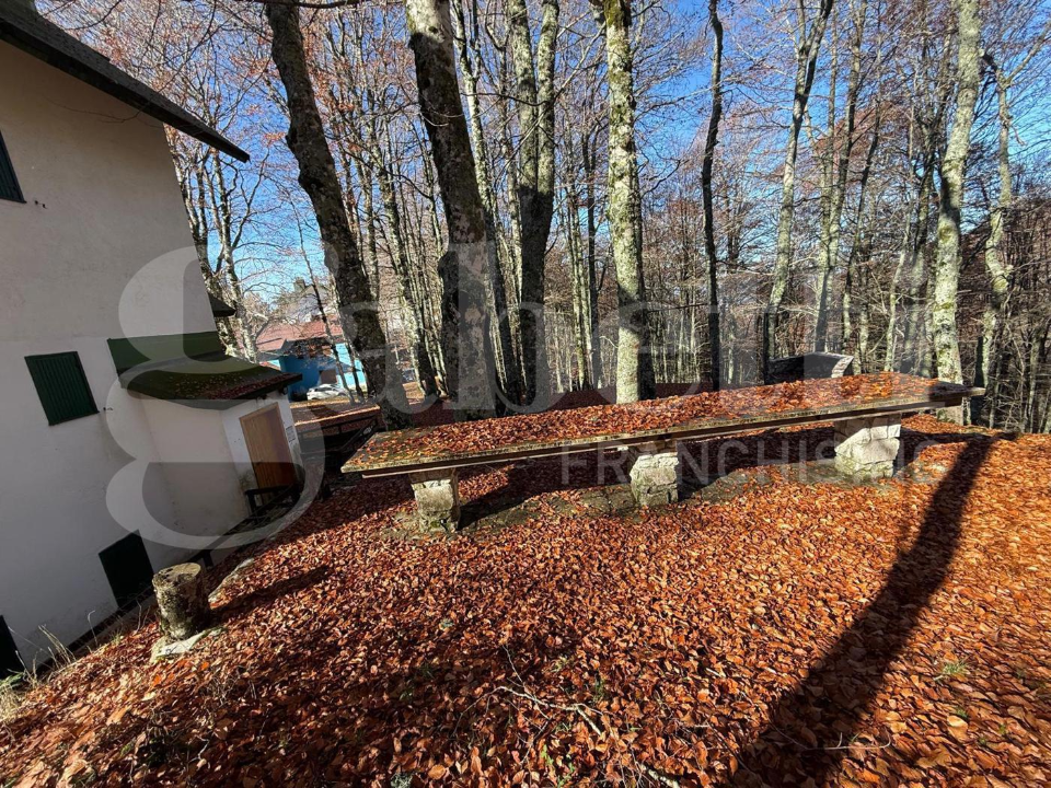 Appartamento - Image 4