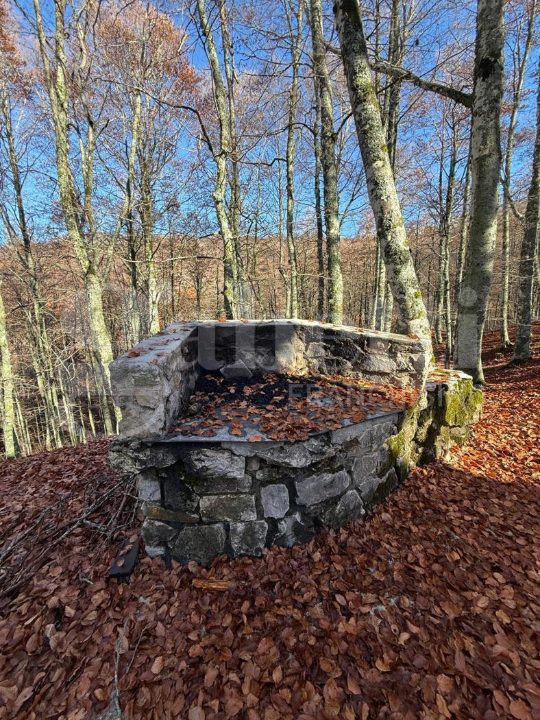 Appartamento - Image 2