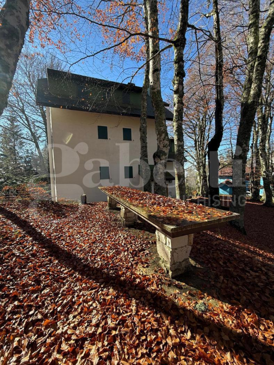 Appartamento - Image 7