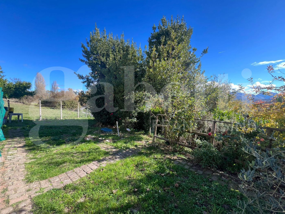 Complesso - Image 37