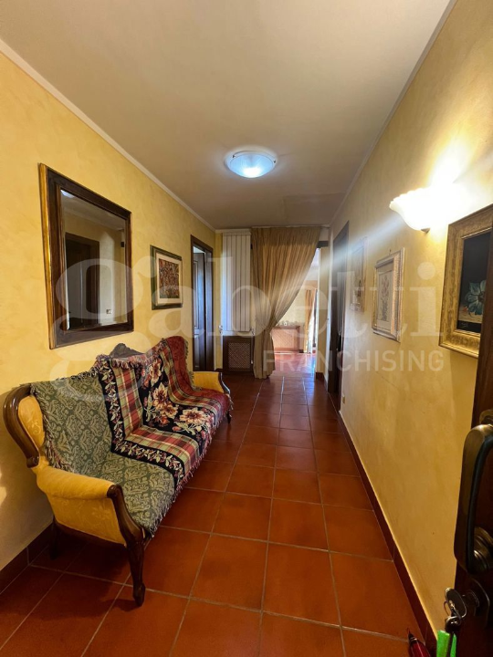 Complesso - Image 17