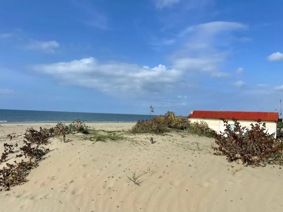 Appartamento - Image 1