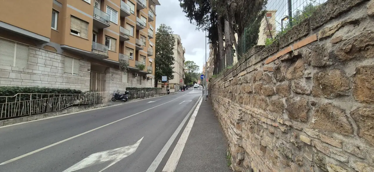 Magazzino - Image 24