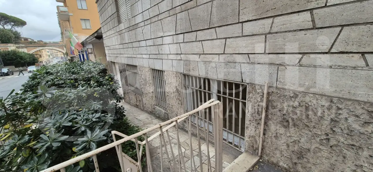 Magazzino - Image 27