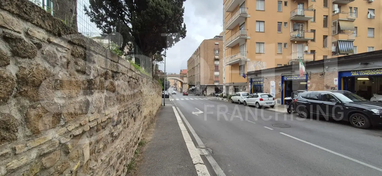 Magazzino - Image 25