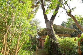 Casa Indipendente - Image 14