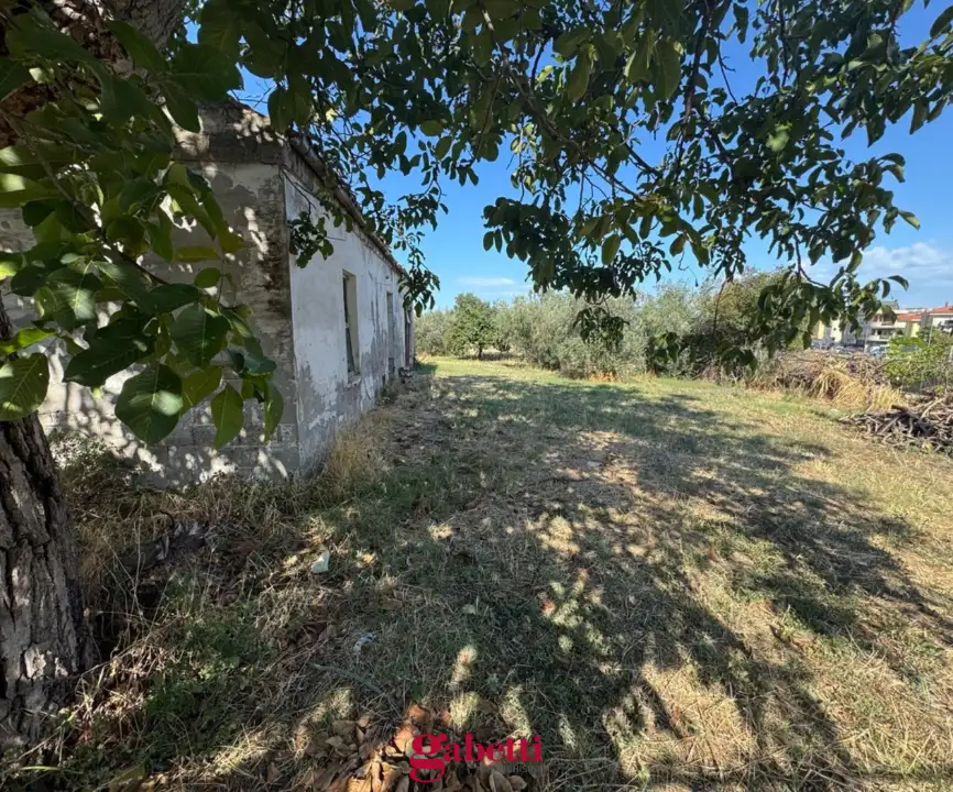 Casa Indipendente - Image 4