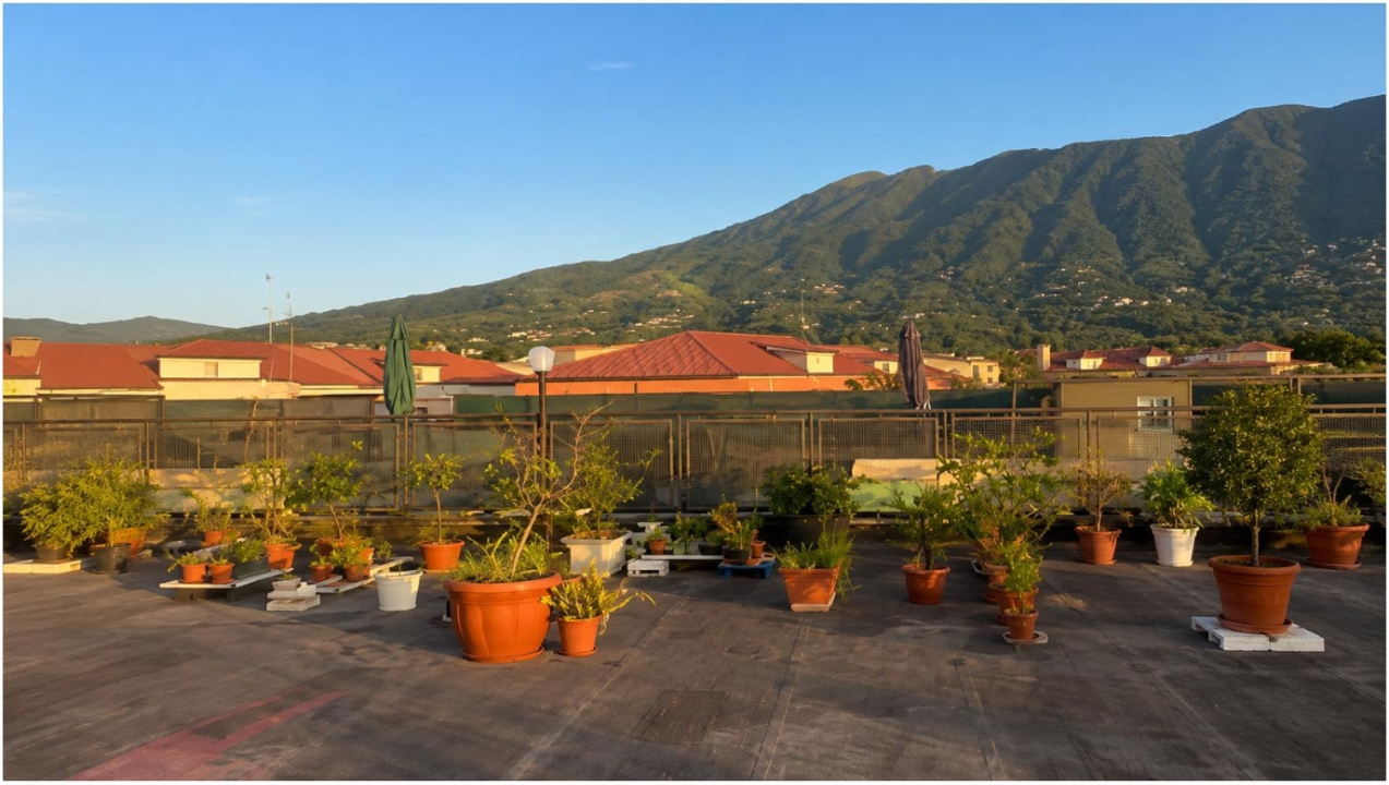 Appartamento - Image 16