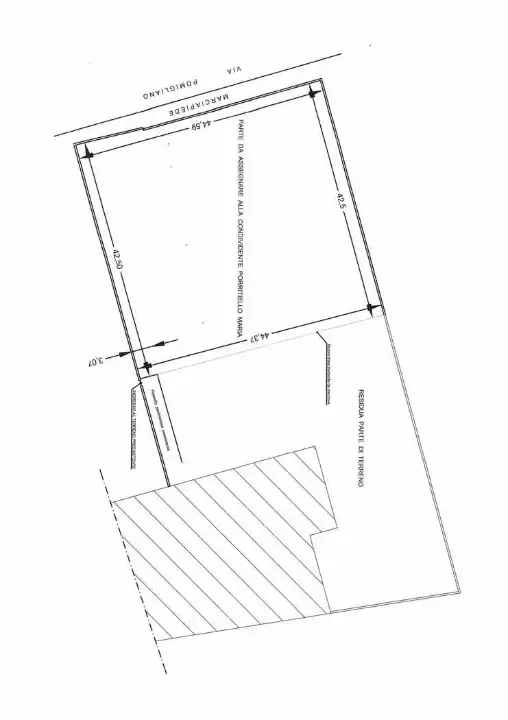 Attività - Planimetry 1