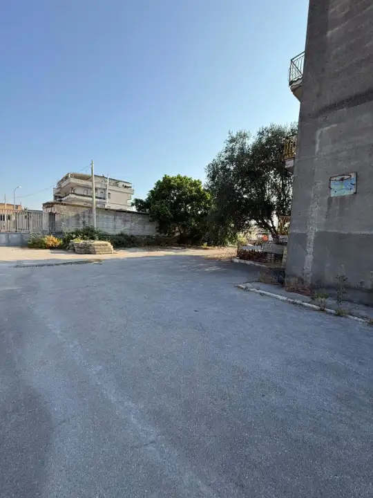 Attività - Image 20