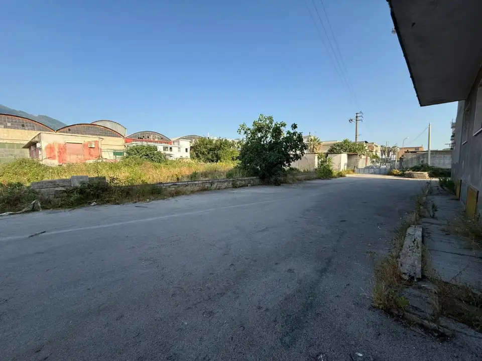 Attività - Image 11