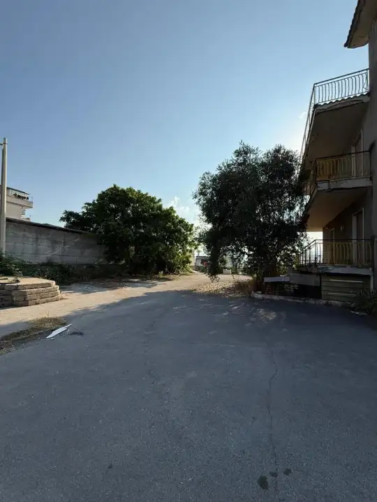 Attività - Image 21