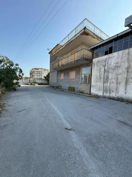 Attività - Image 19