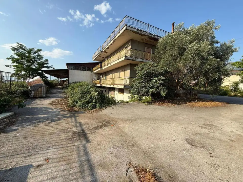 Attività - Image 12