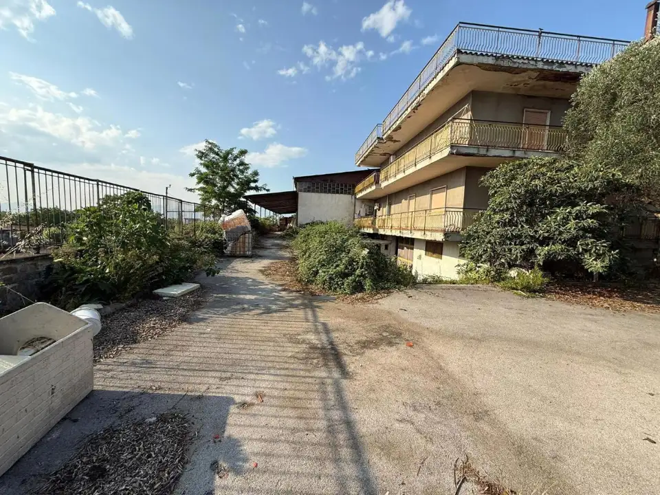 Attività - Image 15