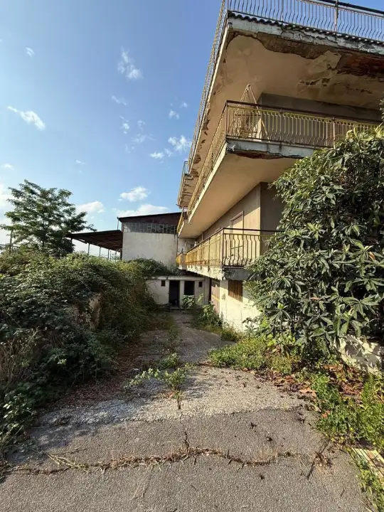 Attività - Image 13