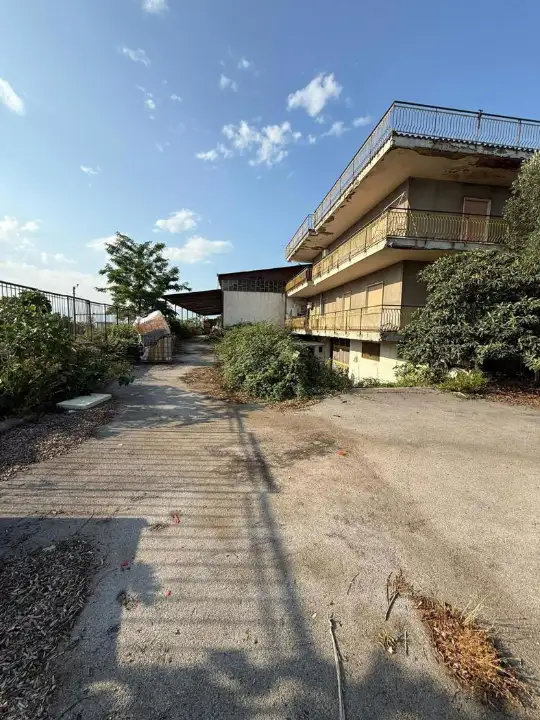 Attività - Image 14