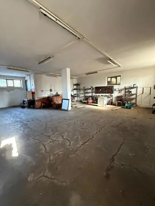 Attività - Image 16