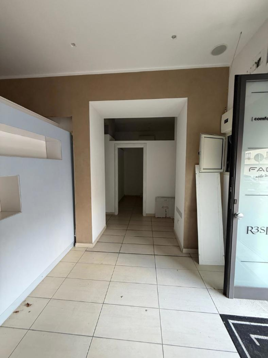 Attività - Image 14