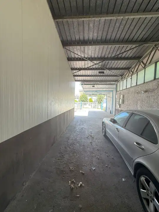 Attività - Image 10