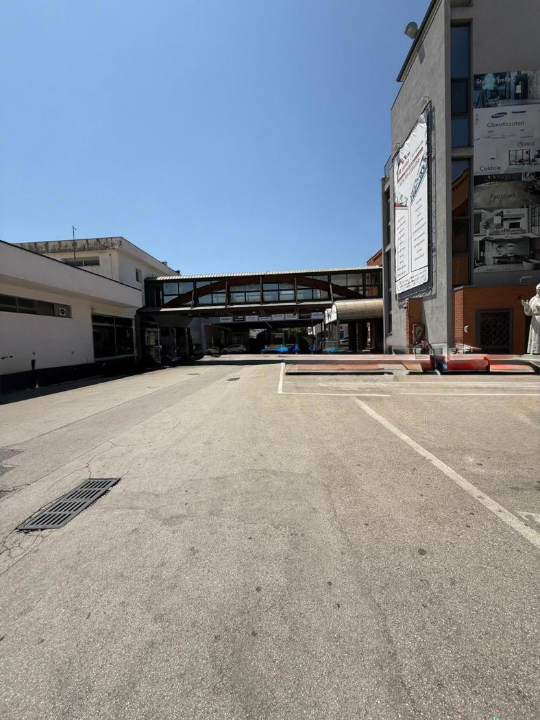 Attività - Image 17