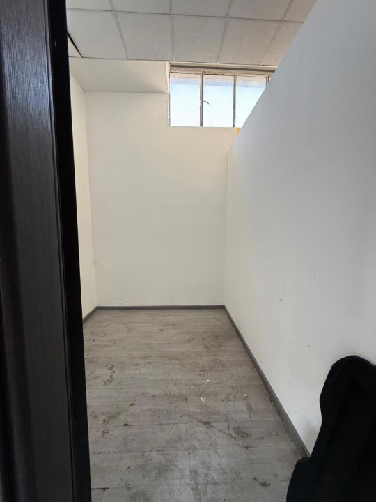 Attività - Image 15