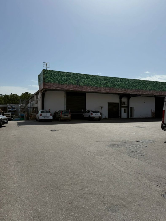 Attività - Image 19