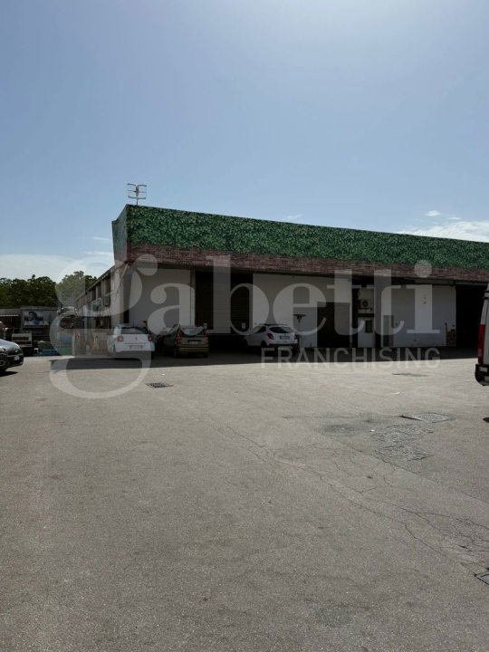 Attività - Image 18