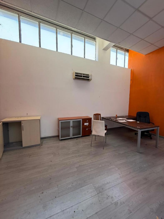 Attività - Image 13