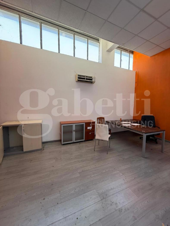 Attività - Image 12