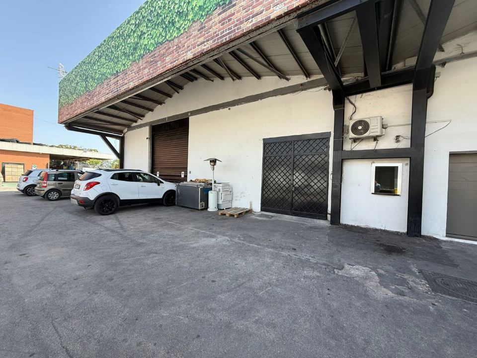 Attività - Image 18