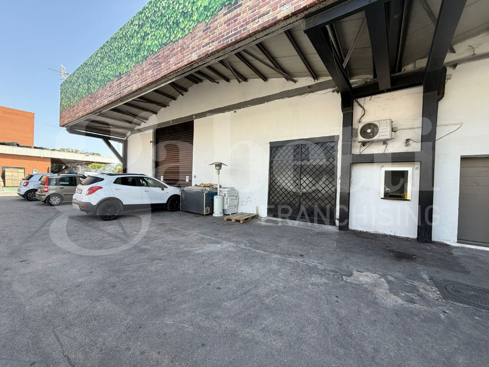 Attività - Image 17