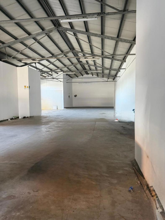 Attività - Image 16