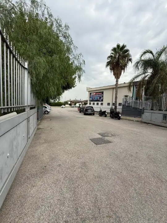 Attività - Image 10