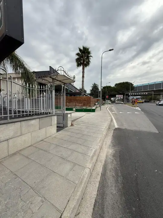 Attività - Image 12