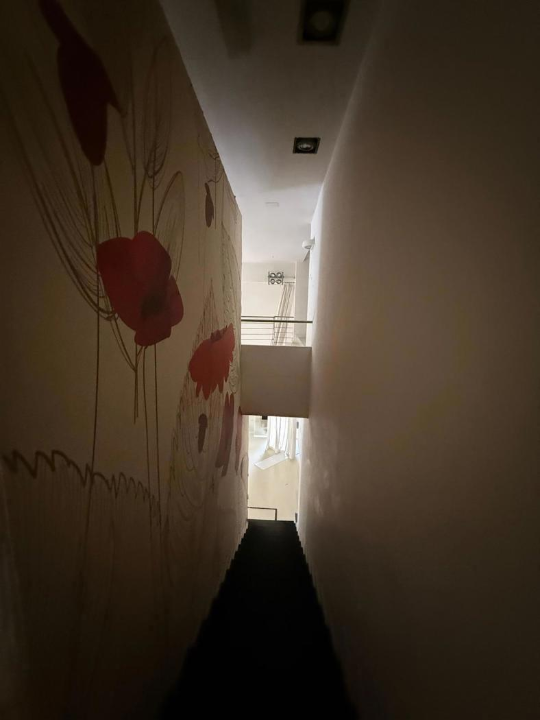 Attività - Image 11