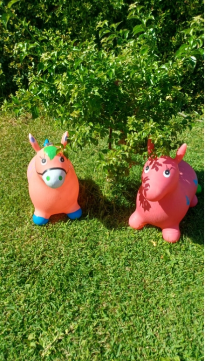 Appartamento - Image 12