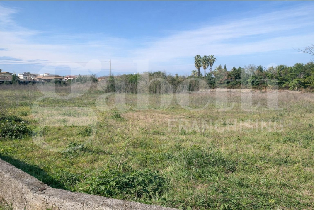 Terreno - Image 1