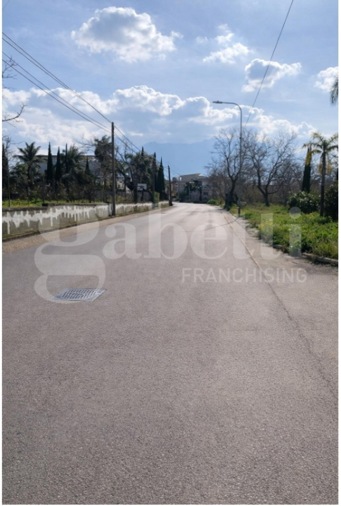 Terreno - Image 4